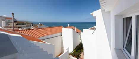 Beach/ocean view