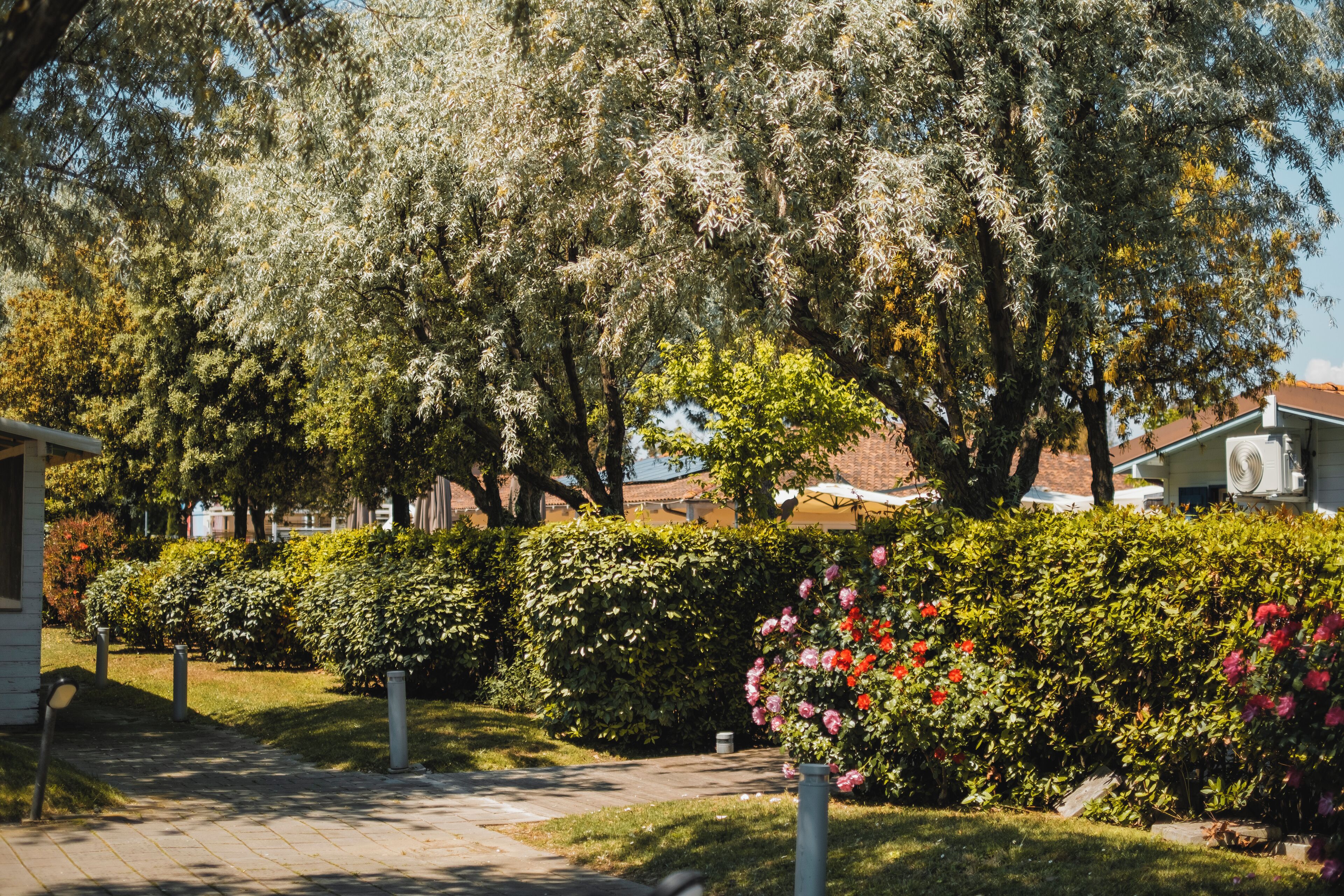Giardino