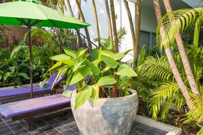 Unclassified image, 3 of 81, button - Samsara Villa (Phnom Penh)