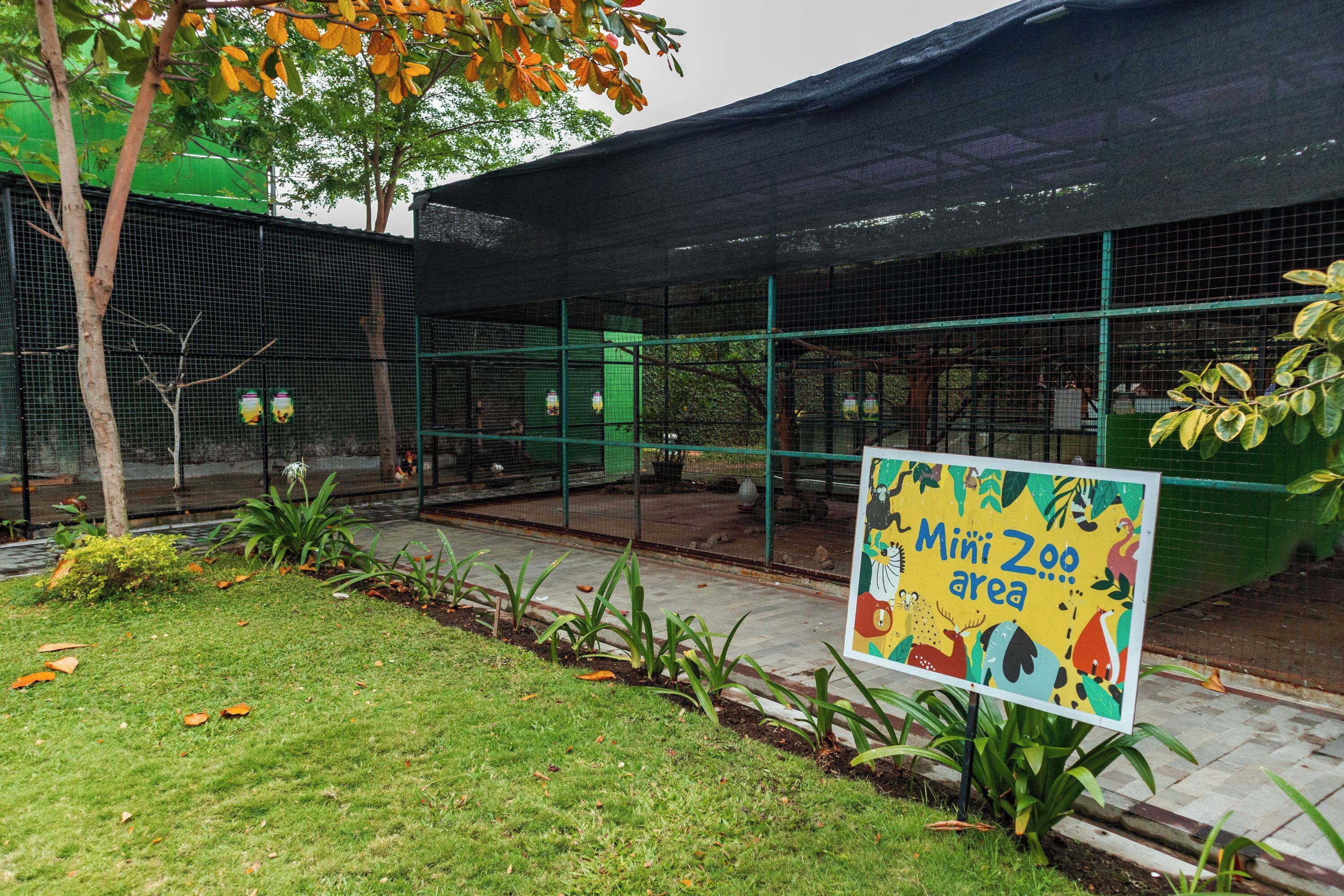 children’s activities