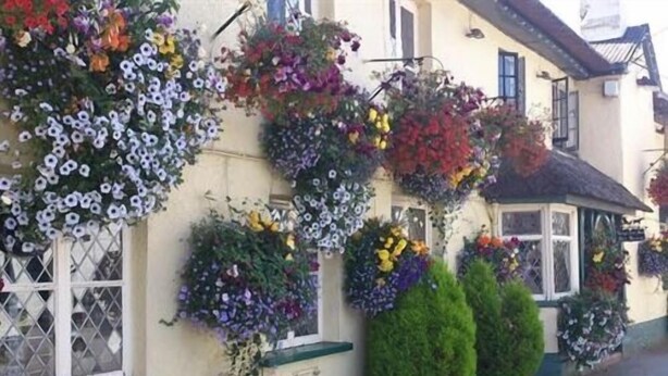Un edificio con múltiples macetas de flores colgando de las paredes exteriores, un pequeño porche y una calle estrecha.