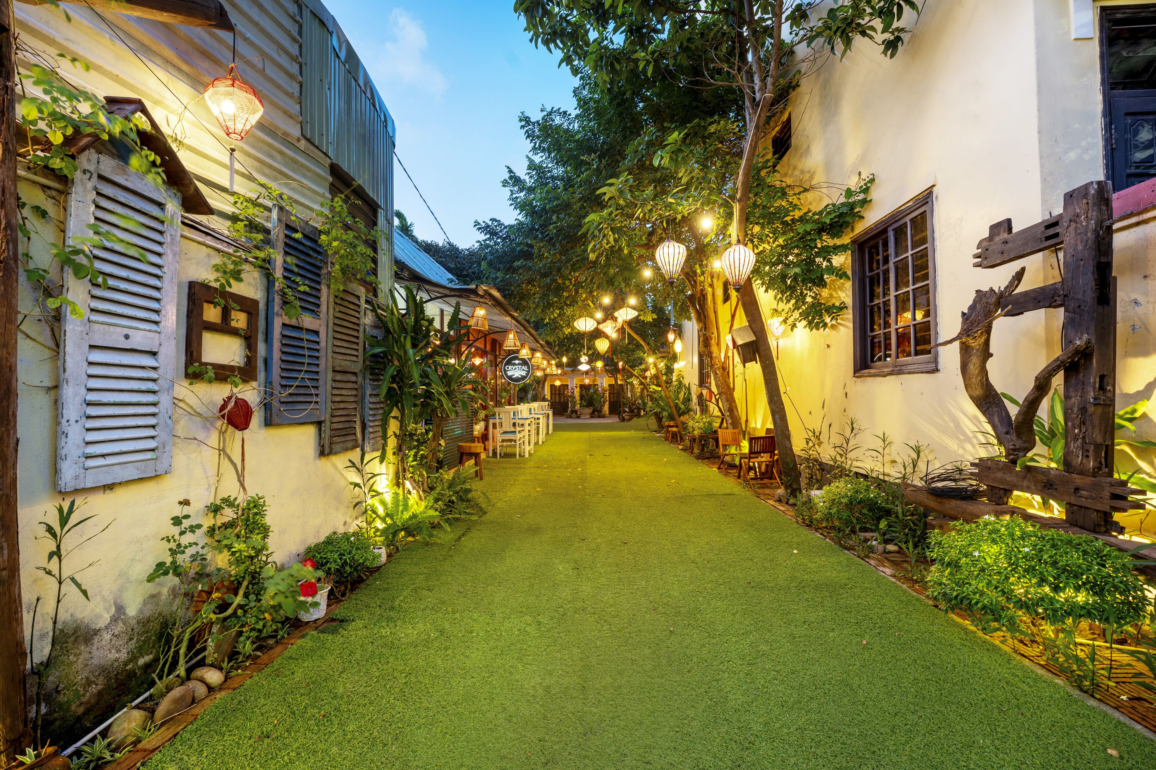 Garden view