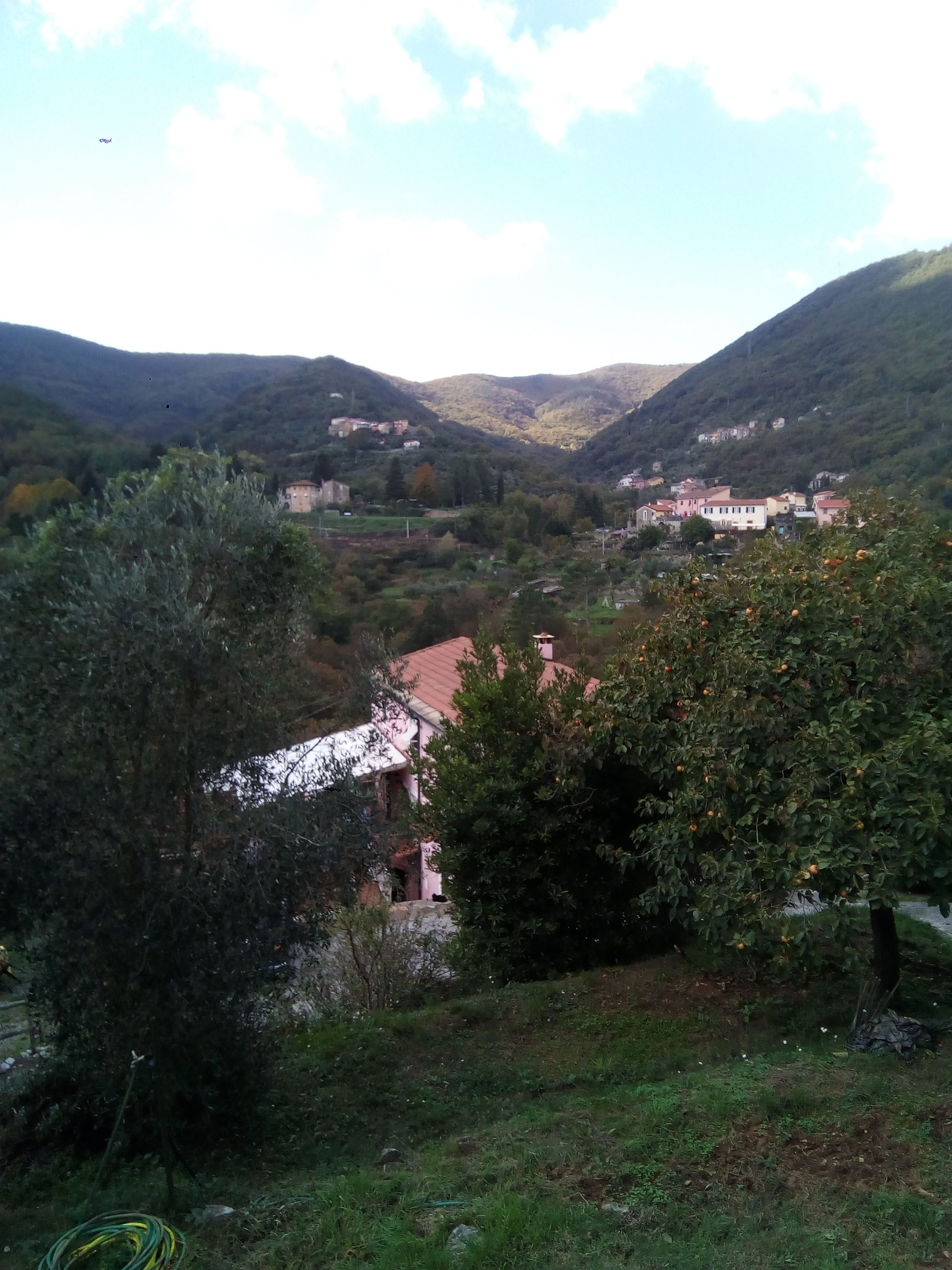 Foto - Agriturismo Locanda del Papa