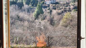 A view from a room with a glass door leading to an outdoor area with a metal fence, a potted plant, and a distant landscape with hills and buildings.
