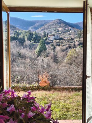 Vue depuis une pièce dont la porte est en verre et qui donne sur un espace extérieur agrémenté d’une clôture en métal, d’un pot de fleurs et d’un paysage lointain avec des collines et des bâtiments.