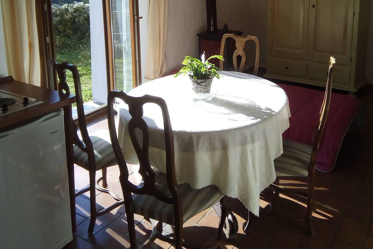 Un coin repas avec une table ronde, des chaises, une plante en pot et une vue sur l’extérieur.