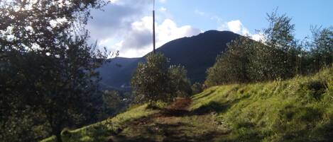 Paisaje montañoso con cielo despejado, un sendero de tierra y vegetación.