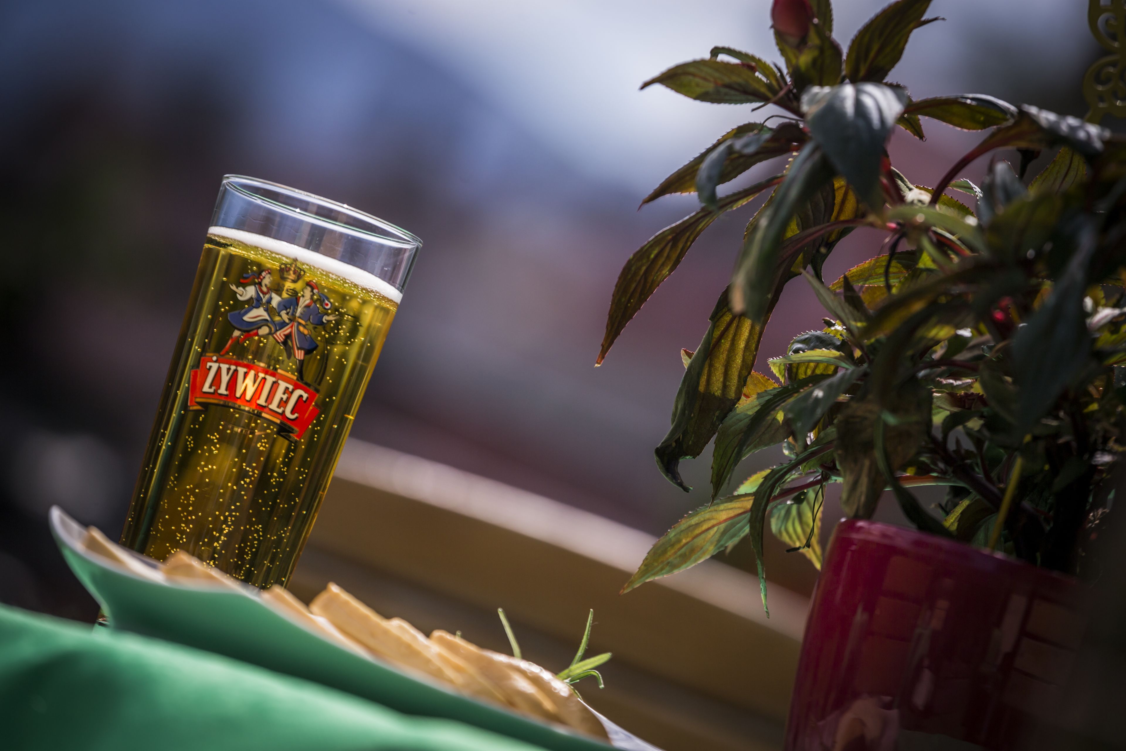 Opções para refeição ao ar livre