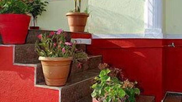 A building with a red exterior and a sign reading "Sonai Palace." There are steps leading up to the entrance, and several potted plants are placed along the steps. - Shanti's Hotel Sonai (Mahabaleshwar)