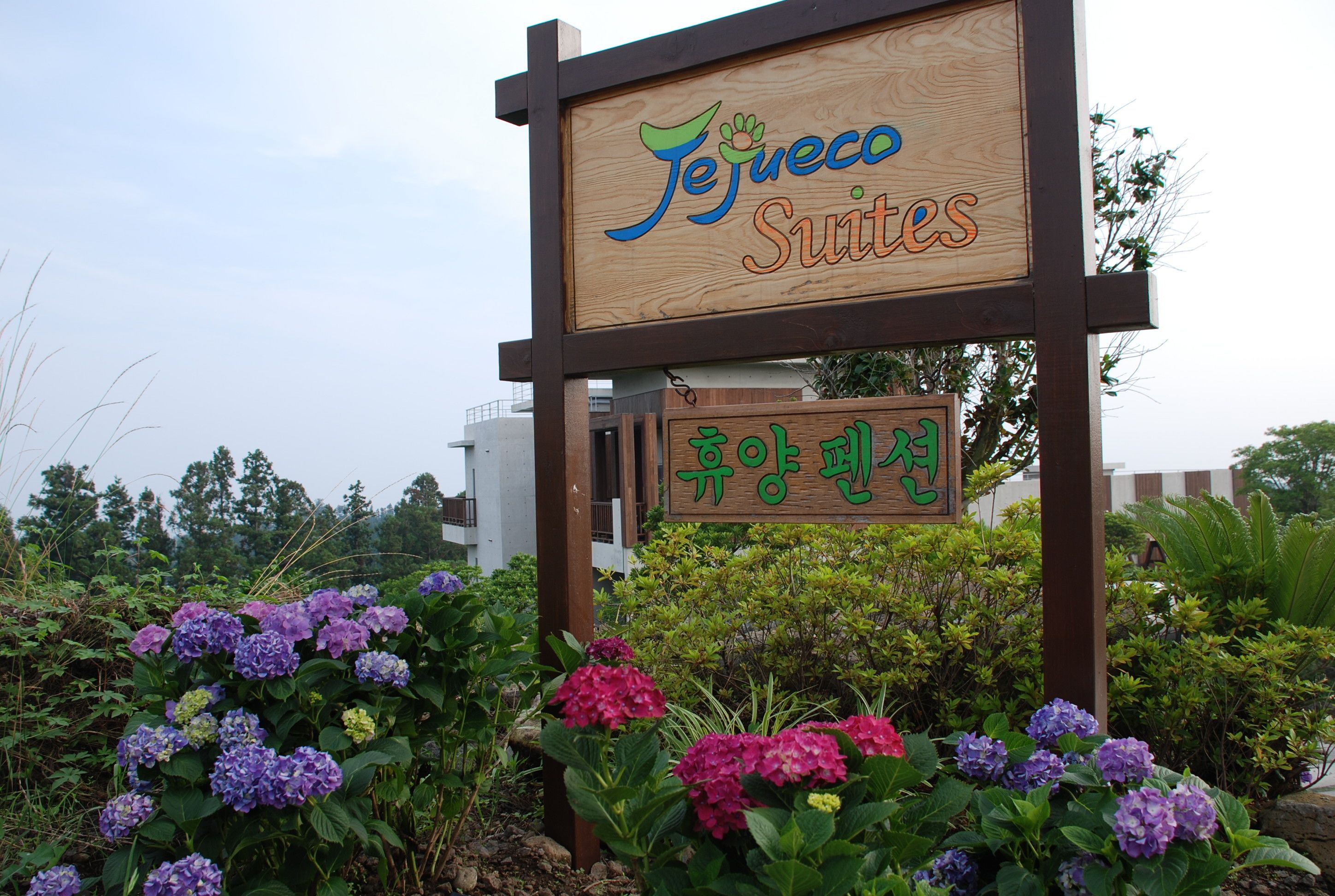 Ein Holzschild für Tejueco Suites mit koreanischem Text darunter, umgeben von leuchtenden Blumen.