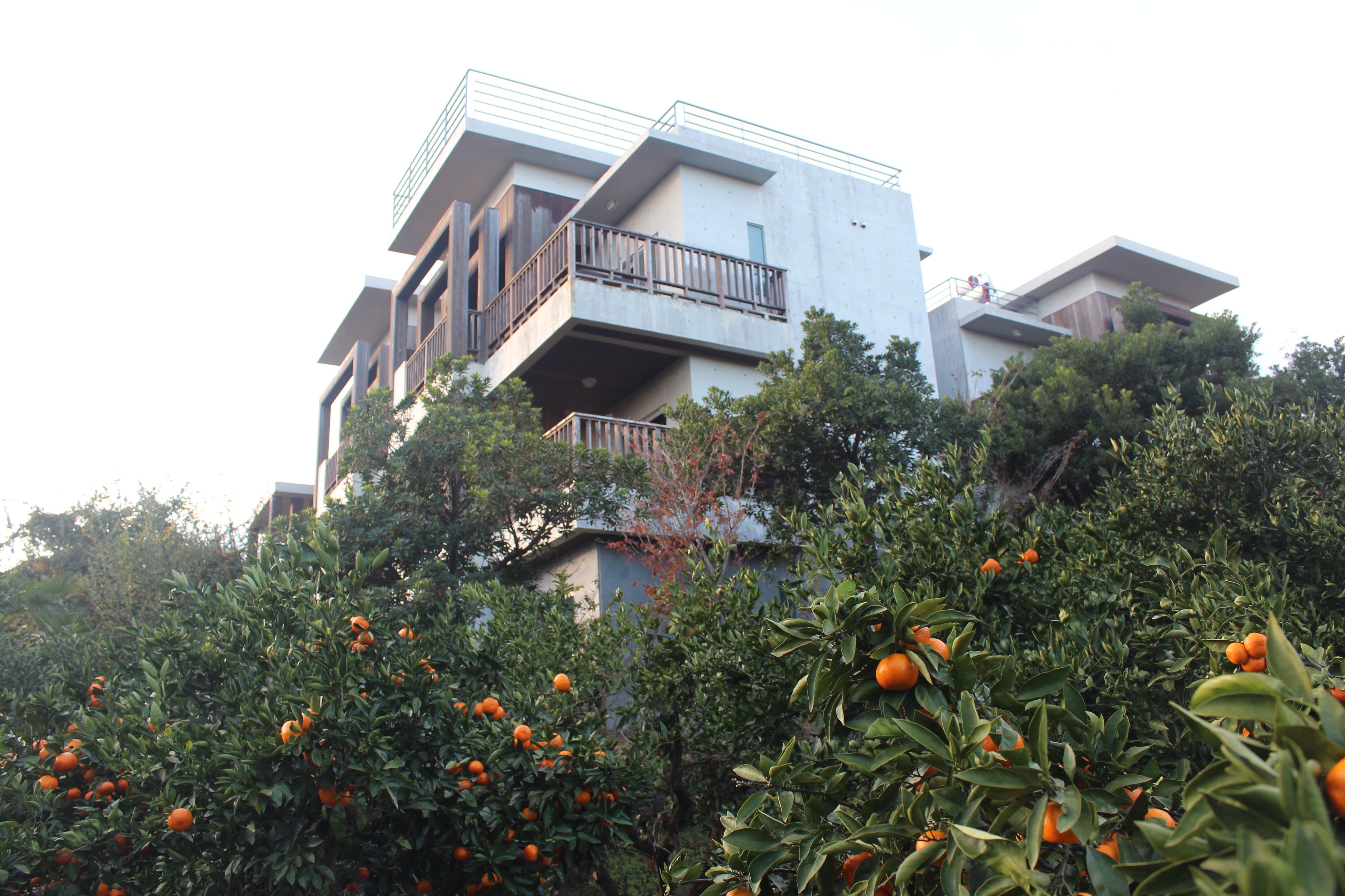 Un immeuble résidentiel à plusieurs étages, doté de balcons et d’un jardin planté d’orangers.
