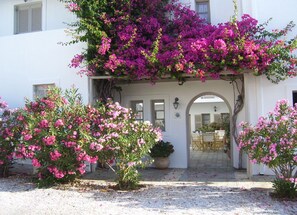 Property entrance - Despina's Mare (Paros)