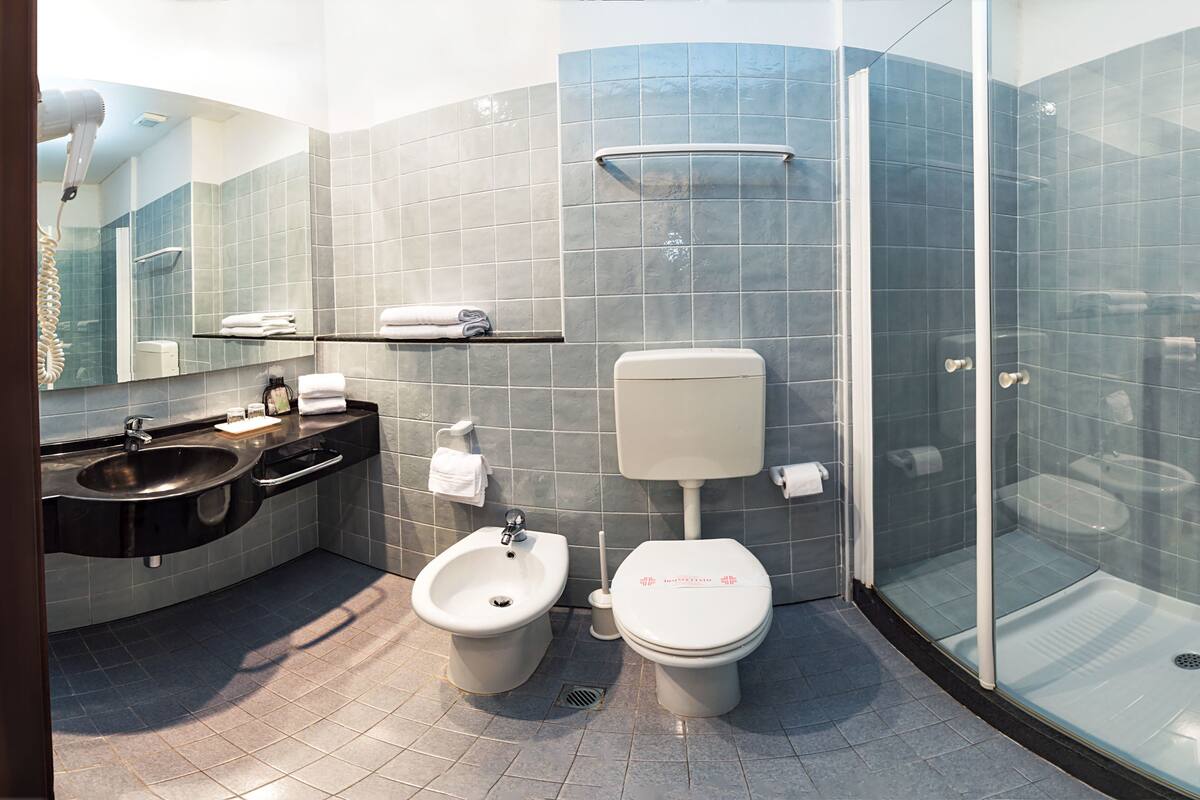 deep-soaking bathtub, rainfall showerhead, hair dryer, bidet