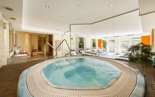 Sauna, hot tub, steam room