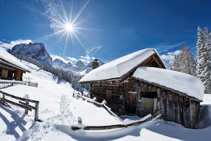 Skifahren