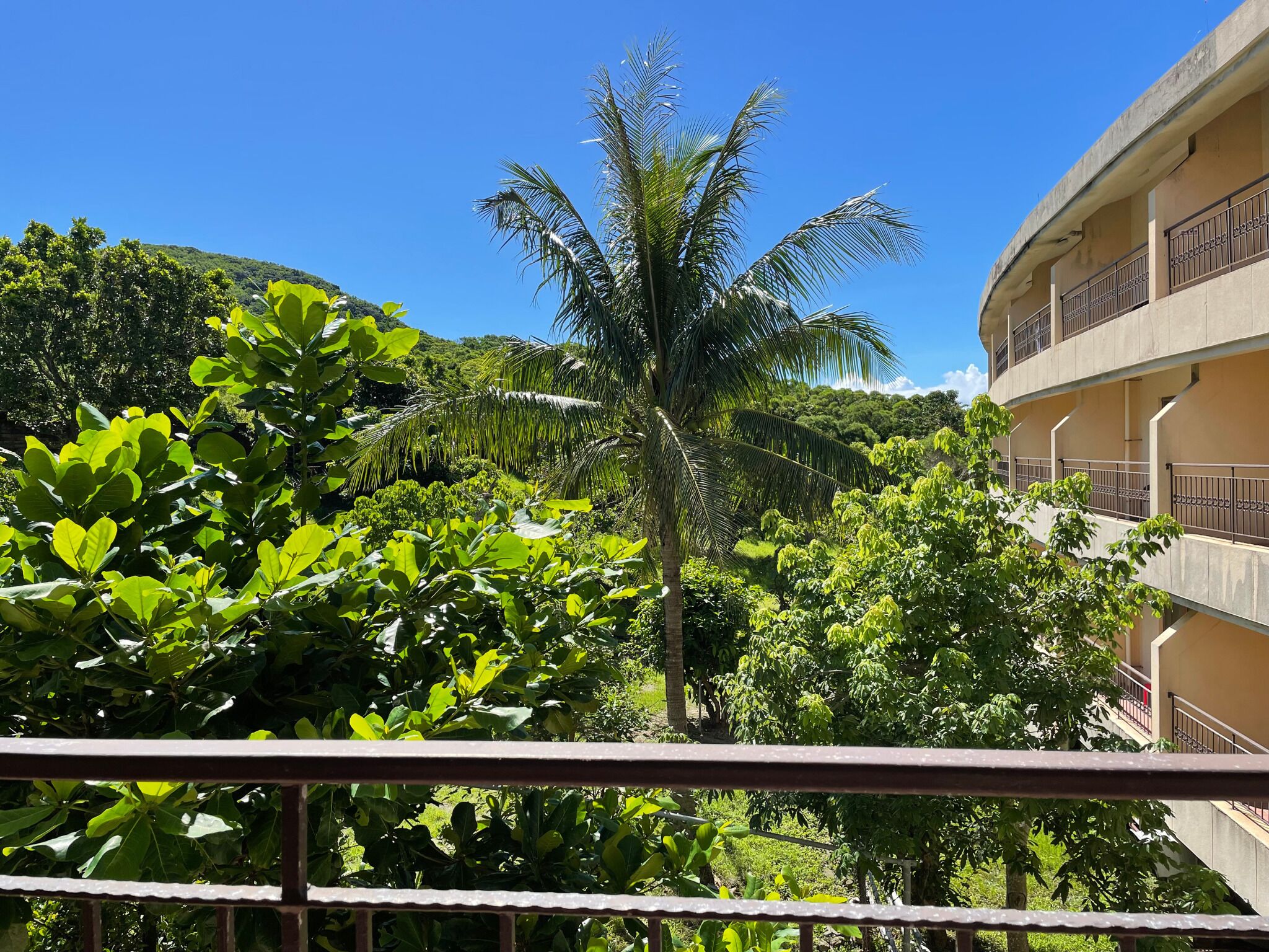 family room | 1 bedroom, down duvets, in-room safe, laptop workspace