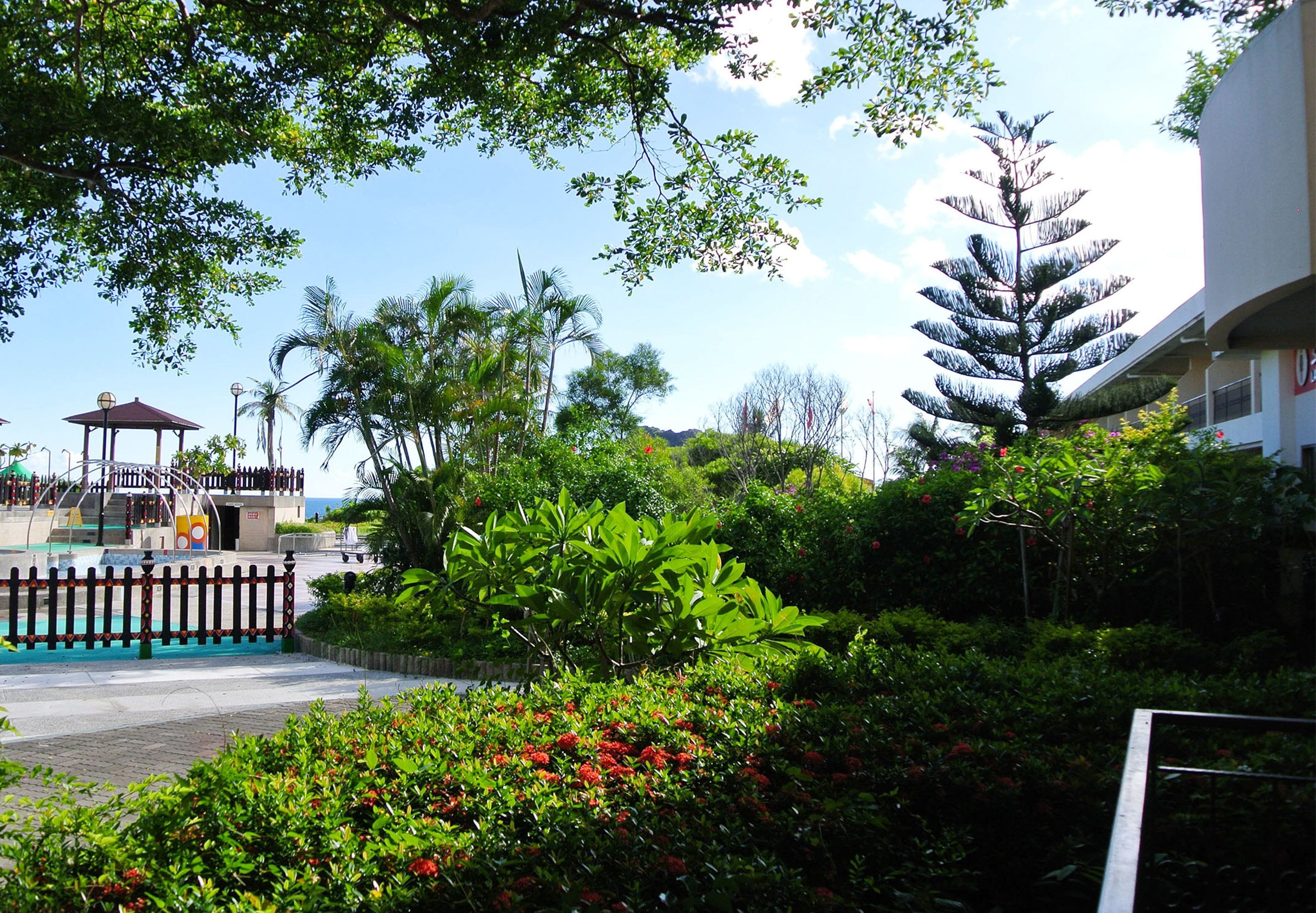 Un exuberante jardín con un pabellón, una piscina y un árbol alto.