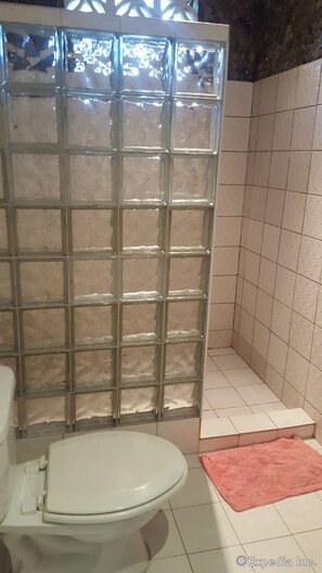 Ducha, secador de pelo, toallas