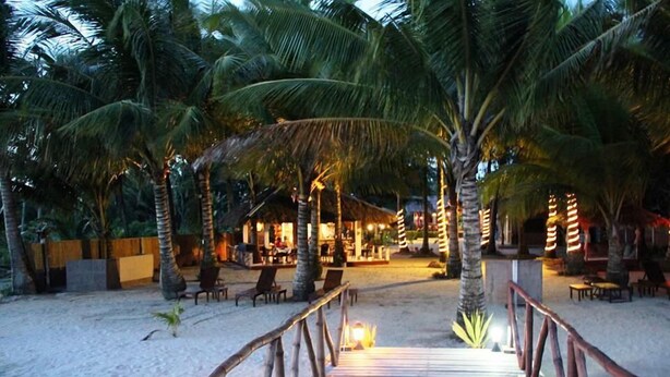 A wooden deck leading to a beachside restaurant with palm trees and outdoor seating. - Cooper's Beach Resort (Puerto Princesa)