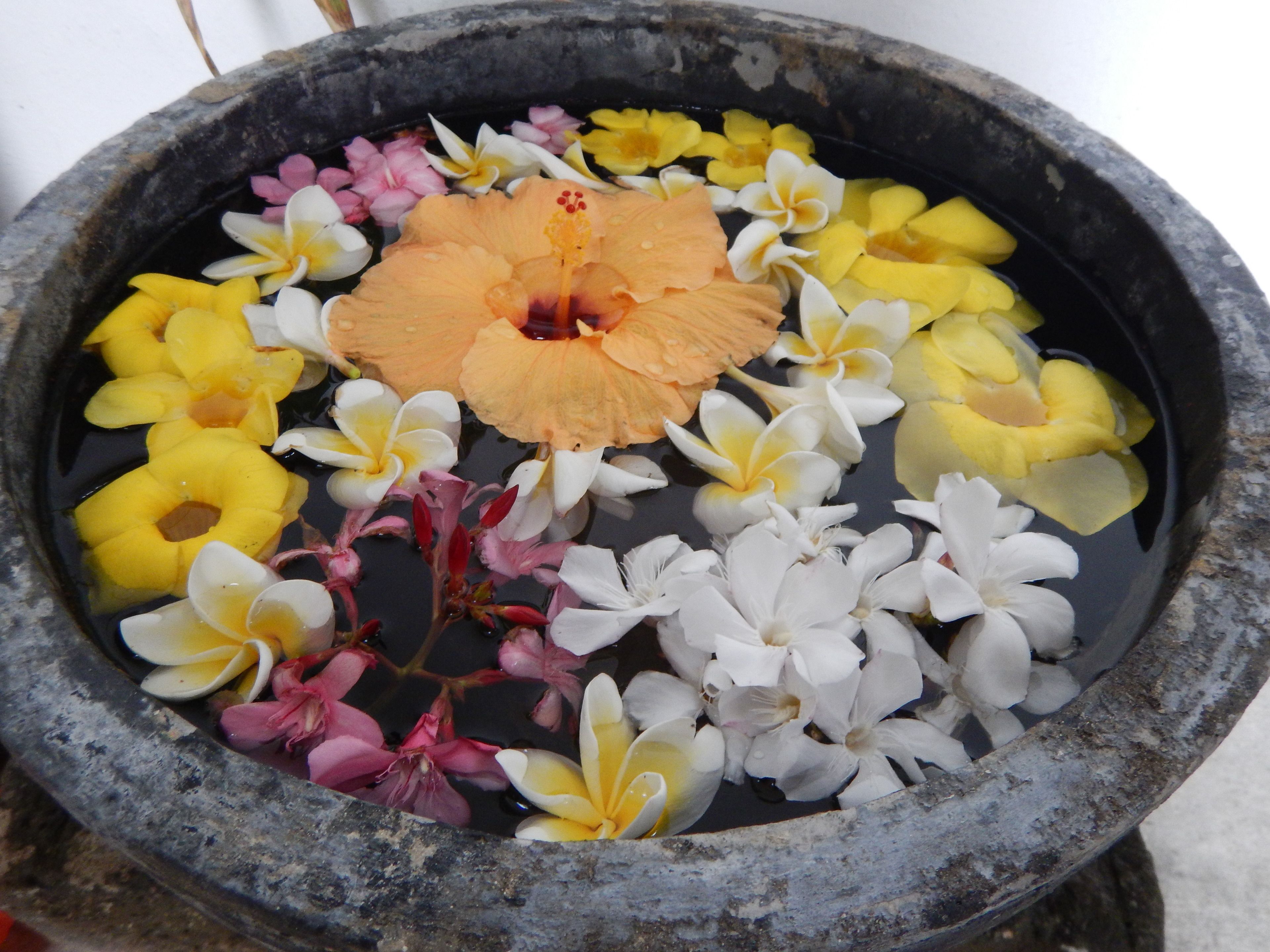 Un cuenco de piedra lleno de agua y diversas flores.