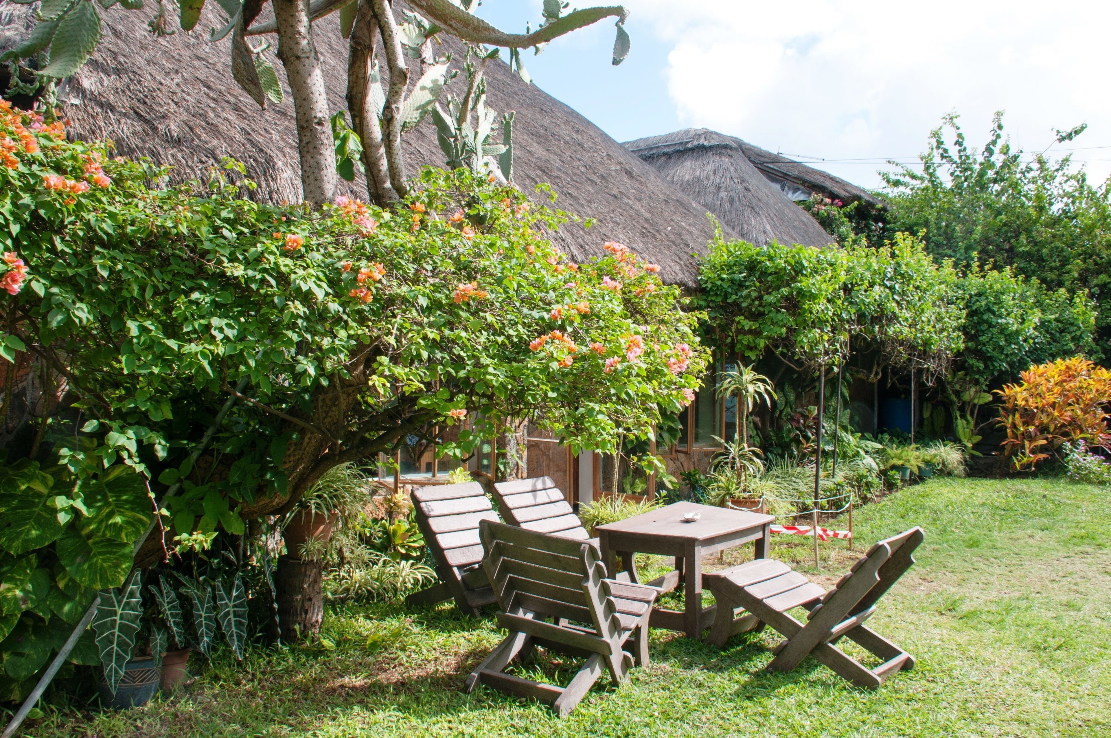 A garden with a thatched-roof structure, wooden furniture, and lush greenery.