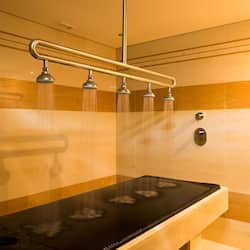 Vichy shower