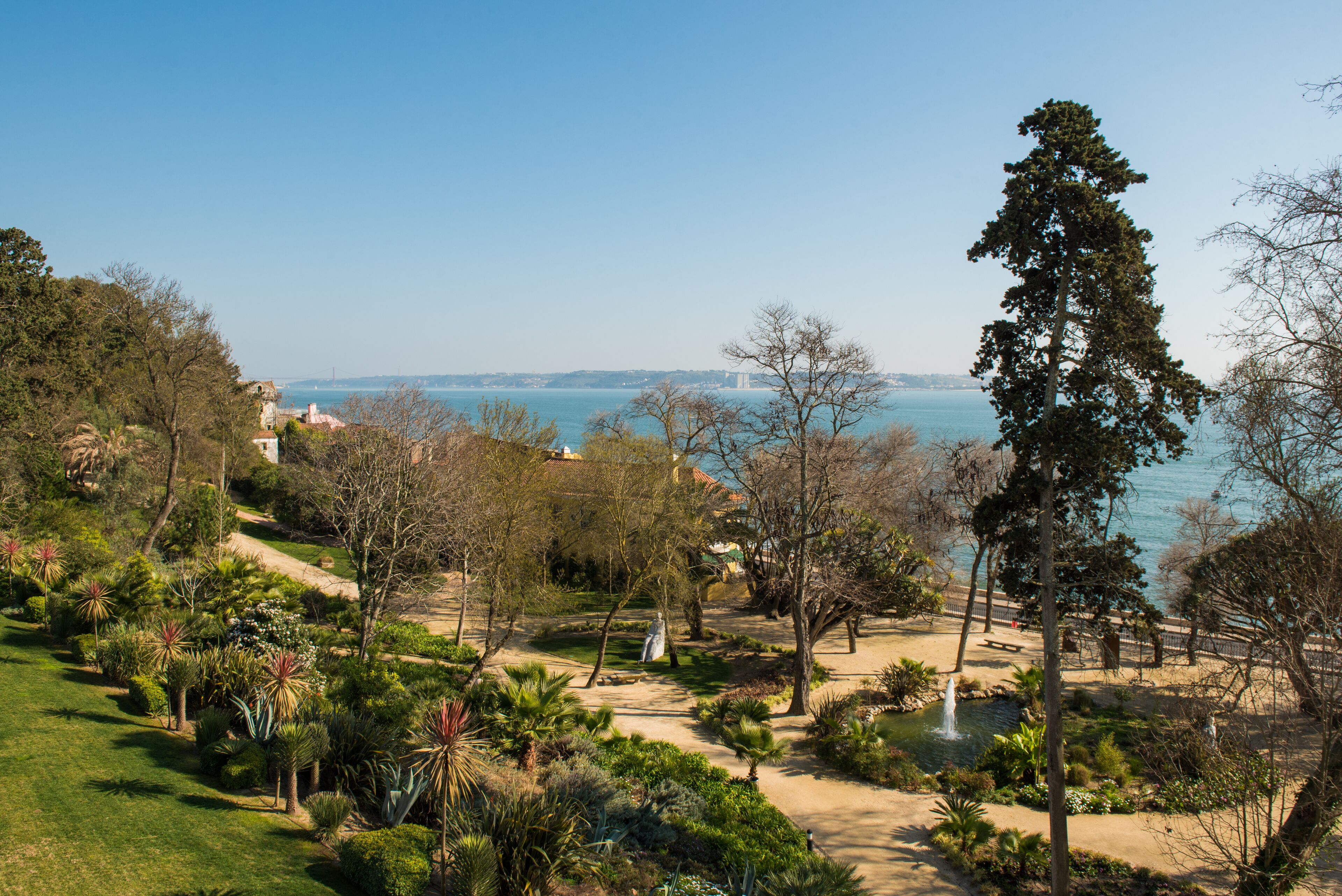 Un parque con un estanque, árboles y vistas al mar.