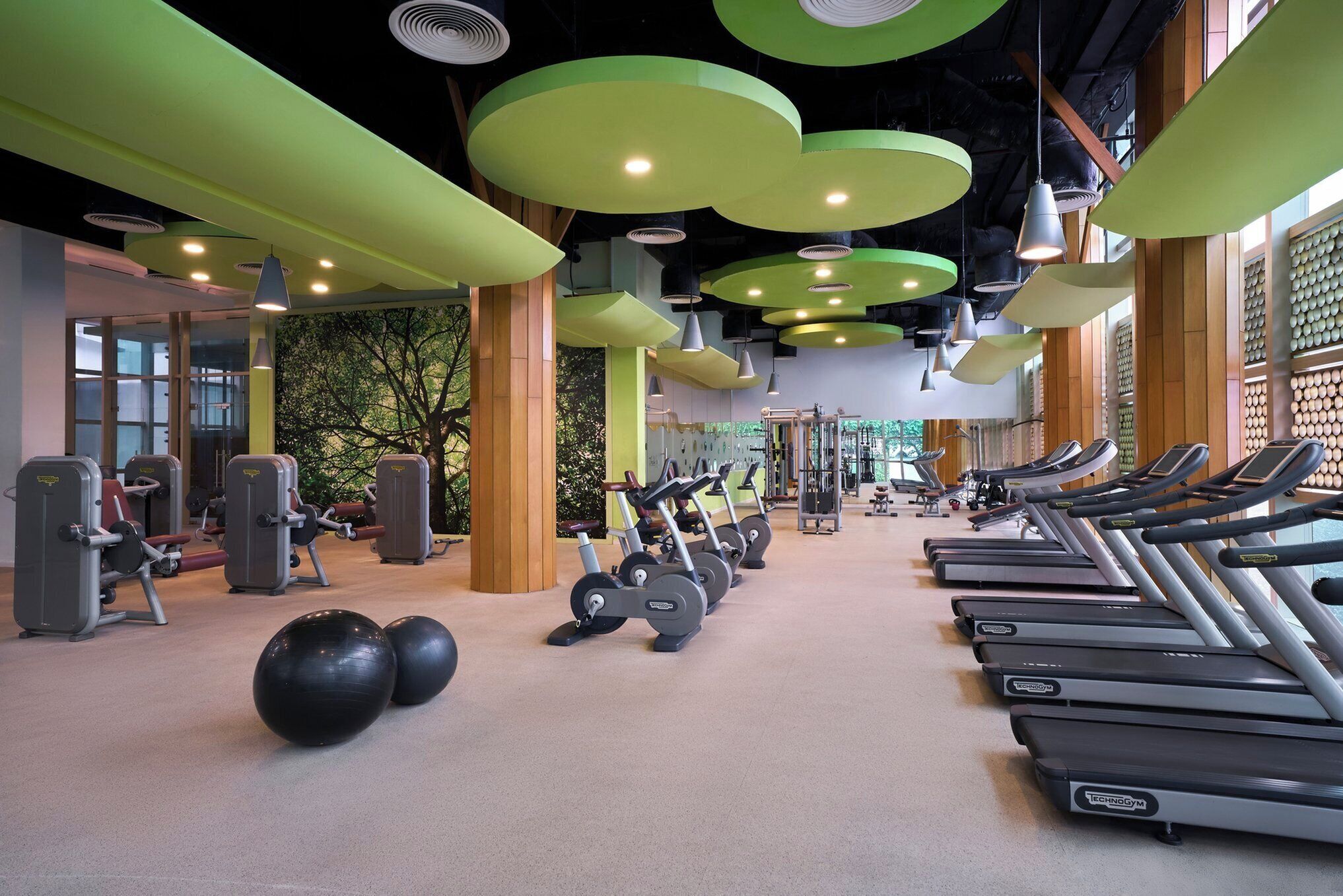 A gym with treadmills, exercise balls, and weight machines.