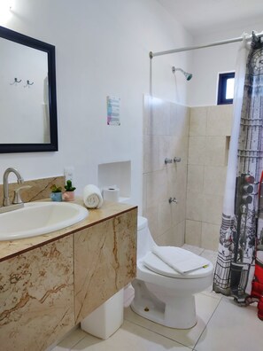 Comfort Apartment, 1 Bedroom, Kitchen | Bathroom | Shower, free toiletries, towels, soap