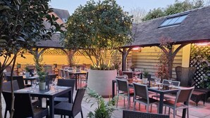 Un patio al aire libre con mesas y sillas, rodeado de plantas en macetas y árboles.