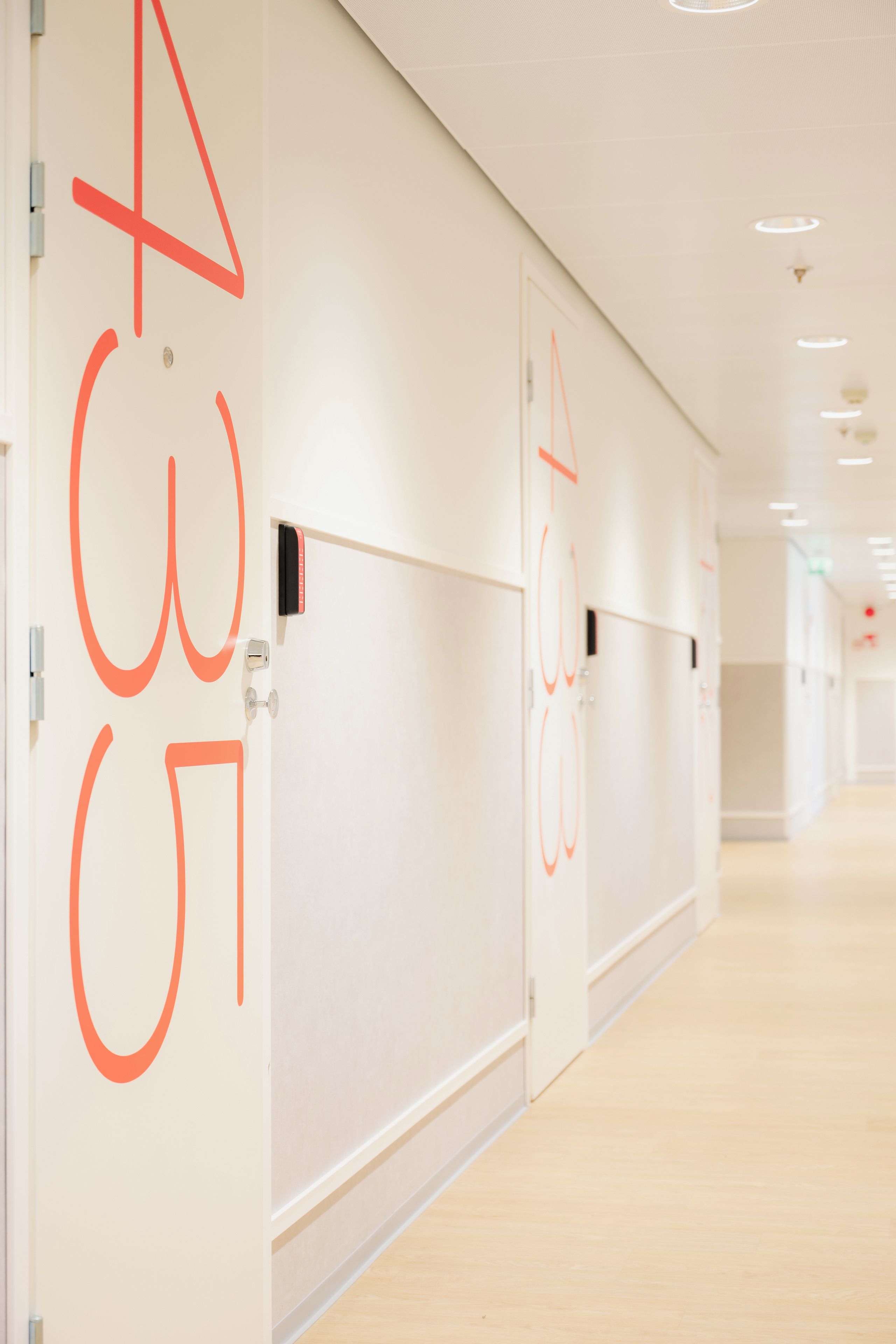 رواق