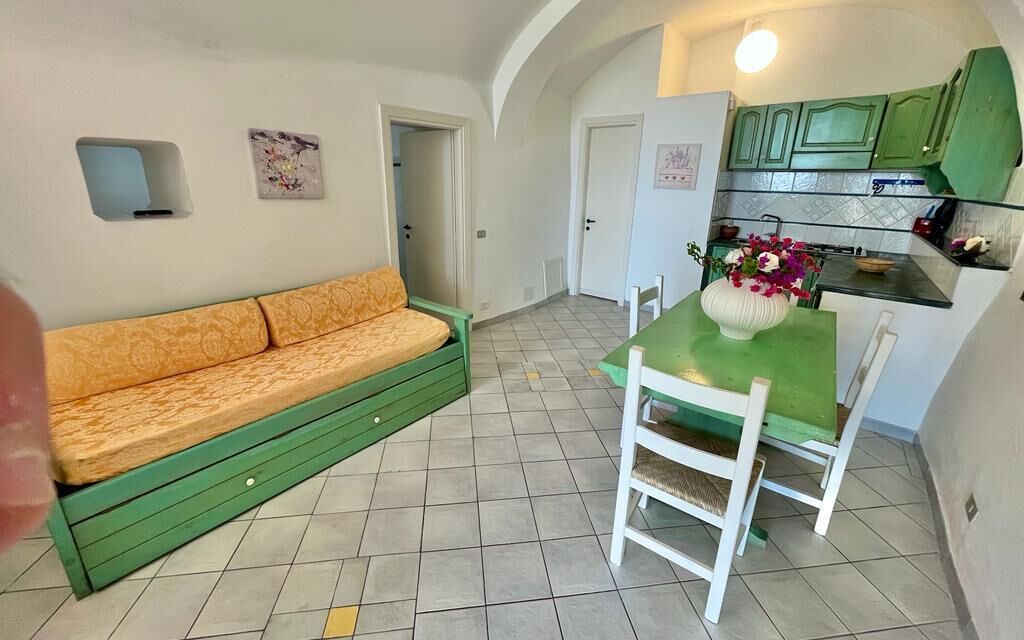 A compact living space with a sofa, a dining table, and a kitchen area.