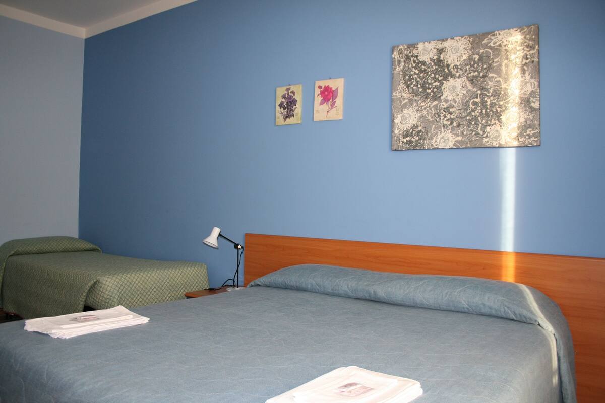 A hotel room with a single bed, a wooden headboard, and two wall-mounted artworks.