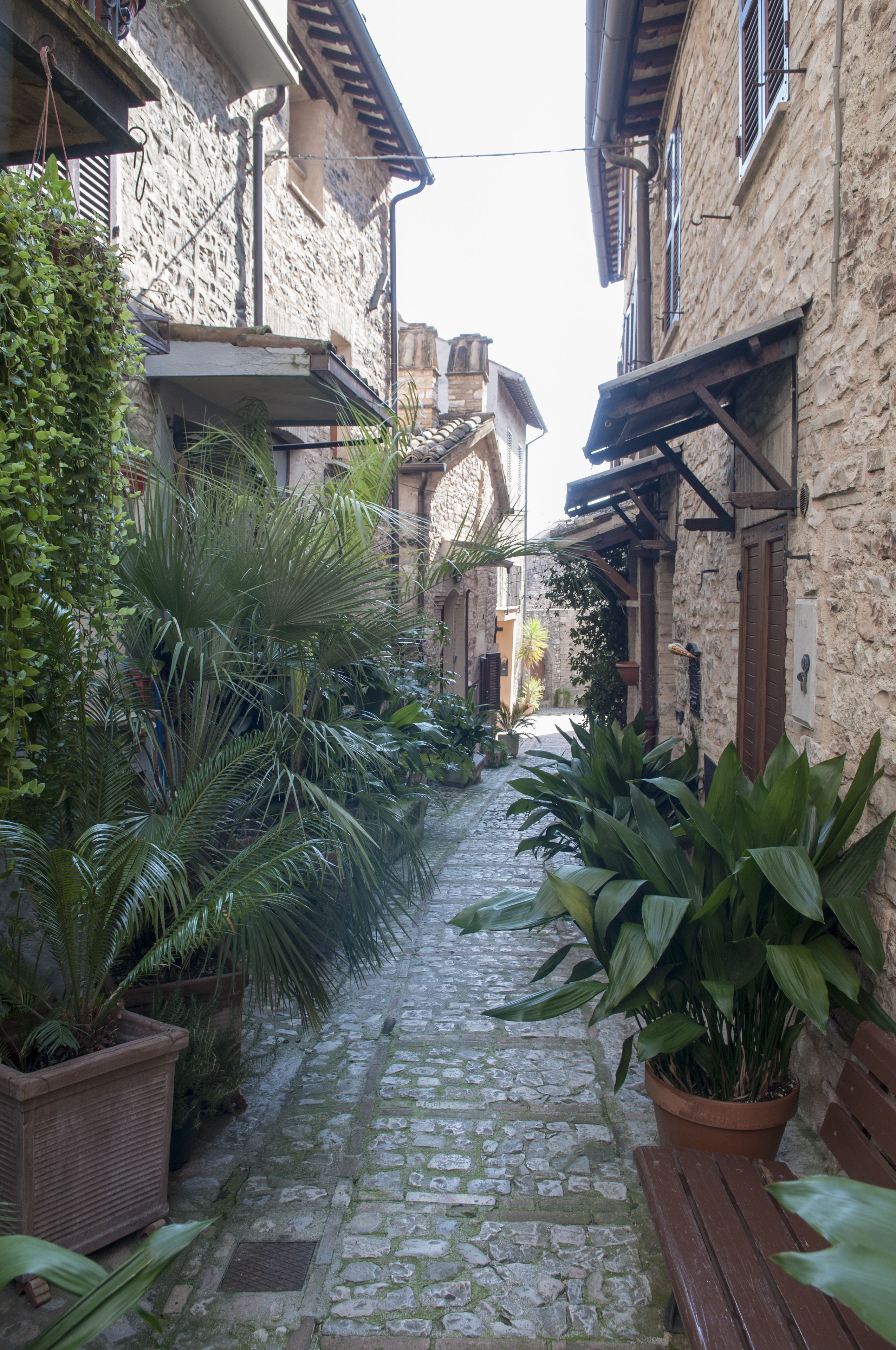 Photo - Appartamenti San Francesco