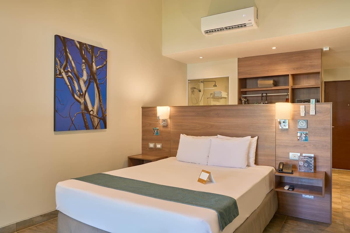 Down comforters, minibar, in-room safe, desk