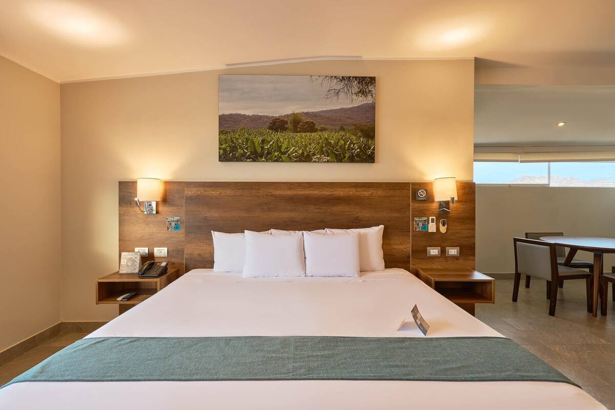 Down comforters, minibar, in-room safe, desk