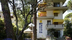A two-story building with a yellow and white facade, surrounded by lush greenery and a large flower pot with blue and white flowers.