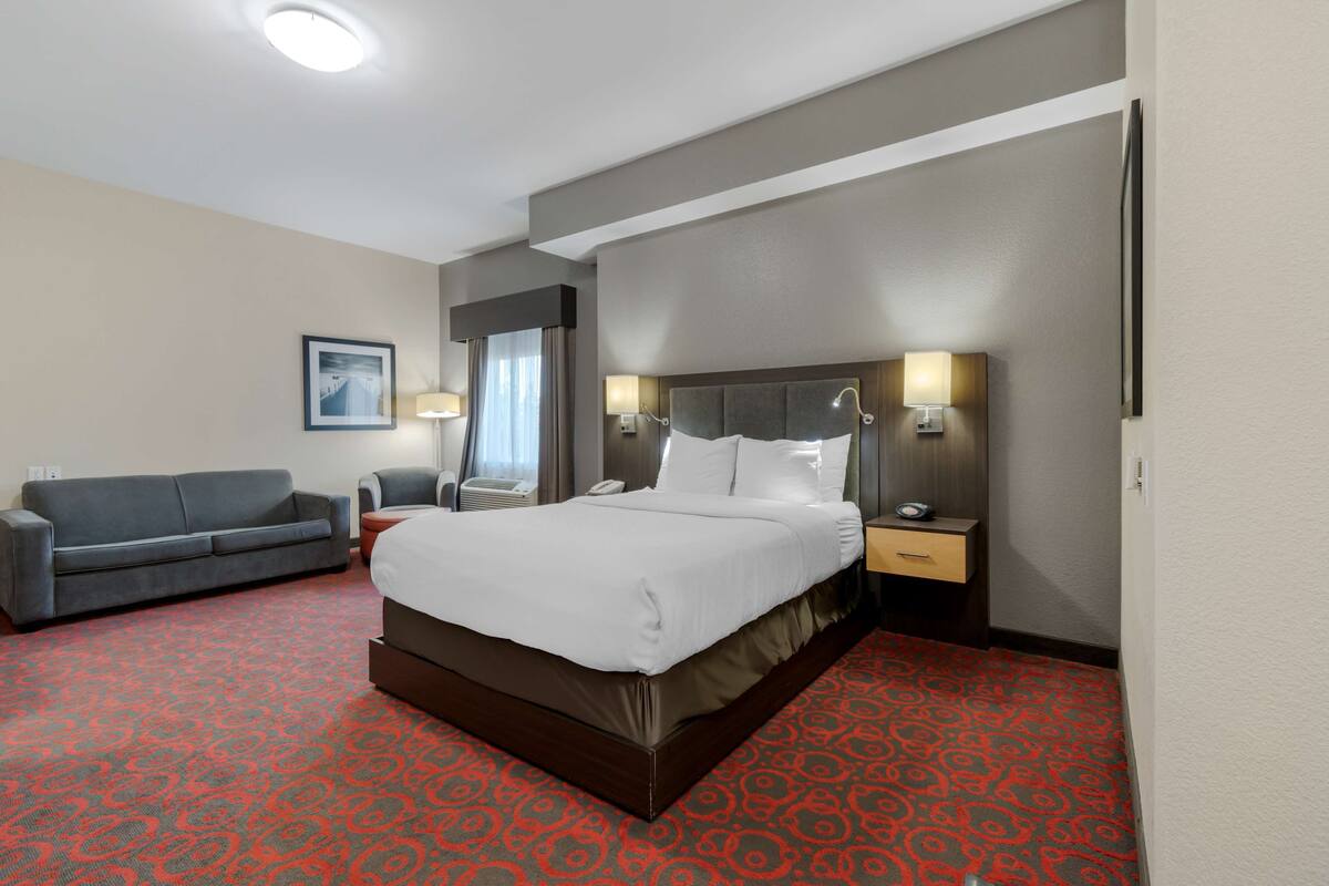 Una habitación de hotel con una cama grande, un sofá gris, un escritorio con lámpara y un cuadro en la pared.