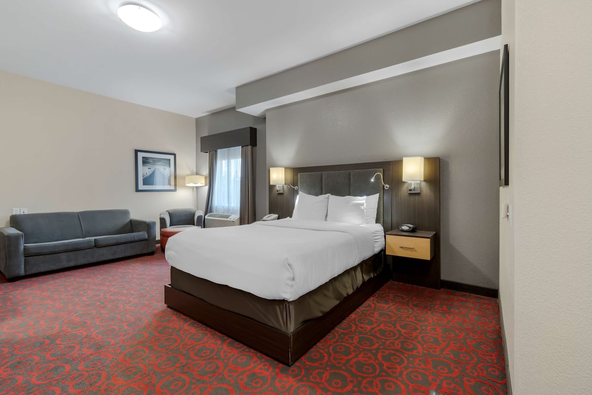 Ein Hotelzimmer mit einem großen Bett, einem grauen Sofa, einem Schreibtisch mit einer Lampe und einem Bild an der Wand.