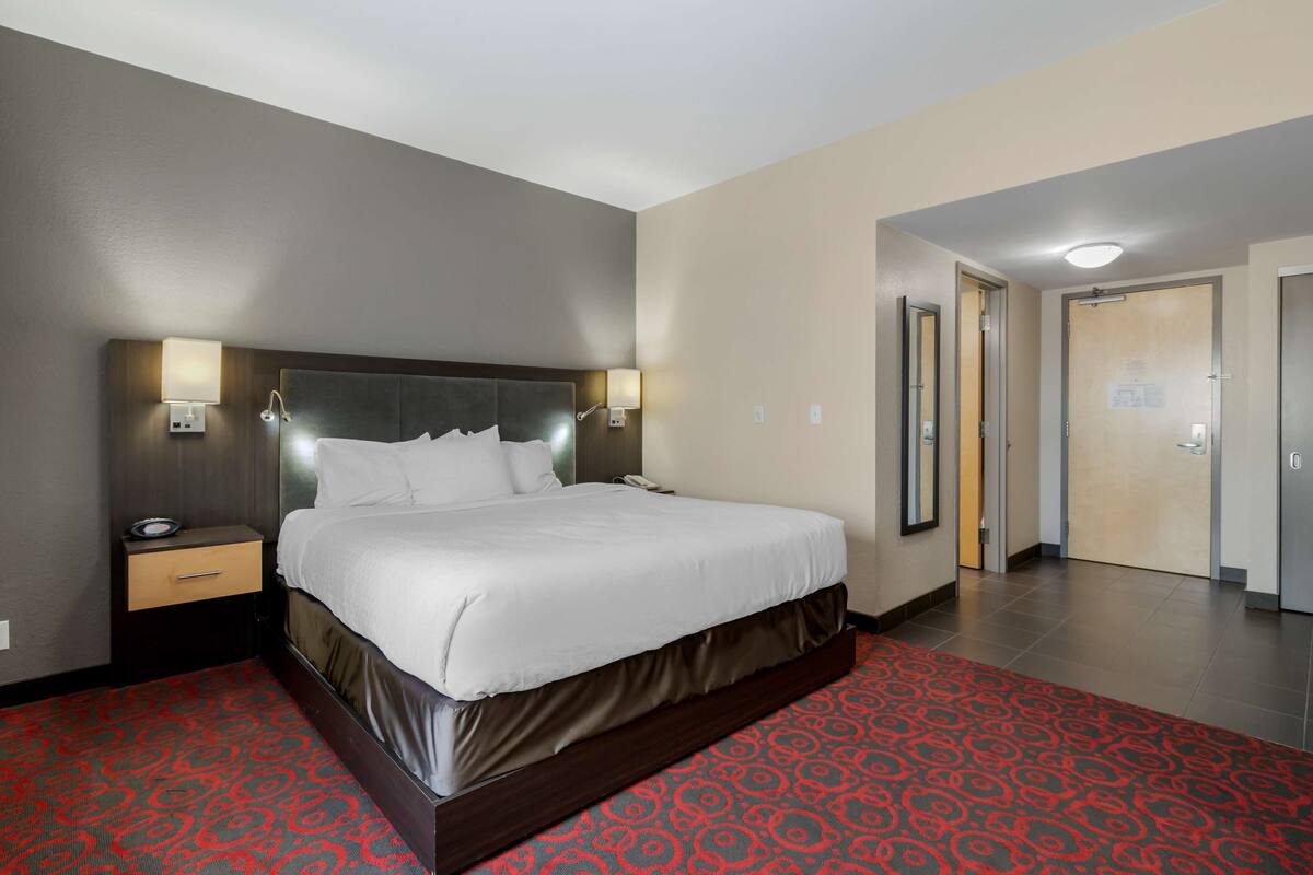 Una habitación de hotel con una cama grande, mesitas de noche y una alfombra roja estampada.