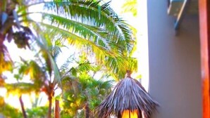 Property grounds - Barra Beach Club (Inhambane)