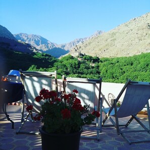 A terrace with chairs and a potted plant, overlooking a mountainous landscape.