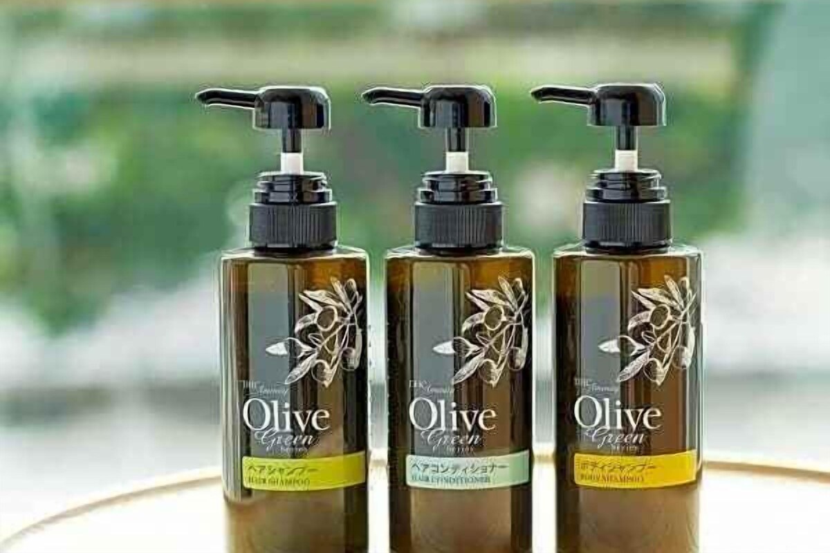 Bathroom amenities | Combined shower/bathtub, hair dryer, slippers, electronic bidet