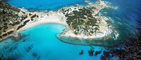 Nær stranden og hvit sand