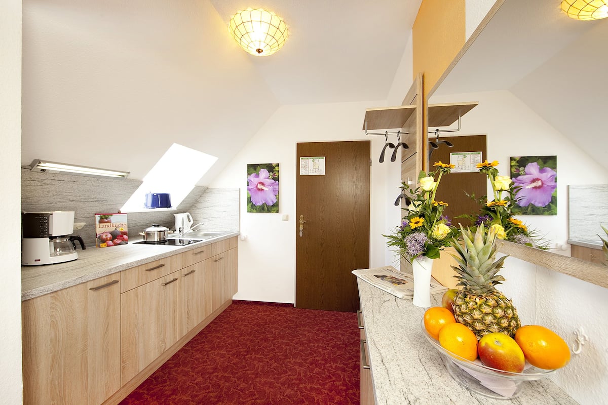 standard apartment (type b) | private kitchen