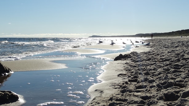A beach with waves, sand, and birds. - Ferienhotel Bernstein (Trassenheide)