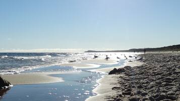 Beach nearby, white sand