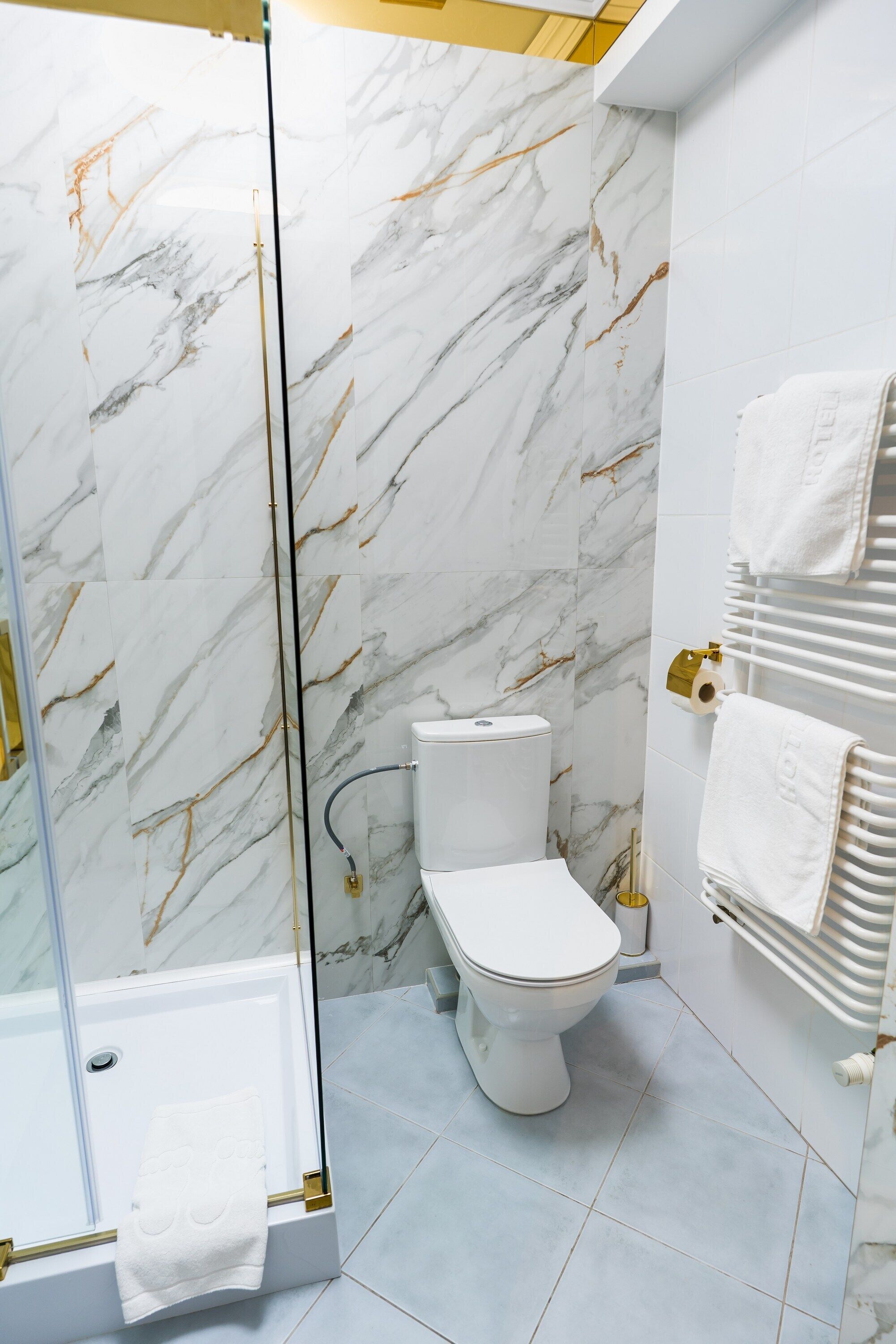 A bathroom with a glass-enclosed shower, a toilet, and a towel rack.