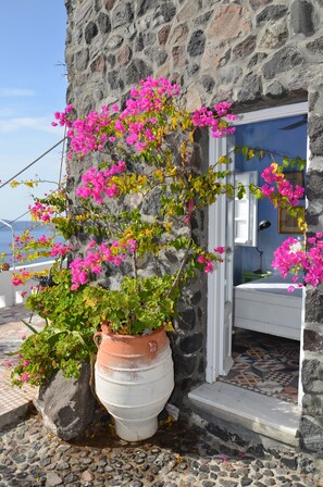 إطلالة على الحديقة