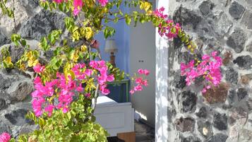 Apartment (Thea) | Garden view